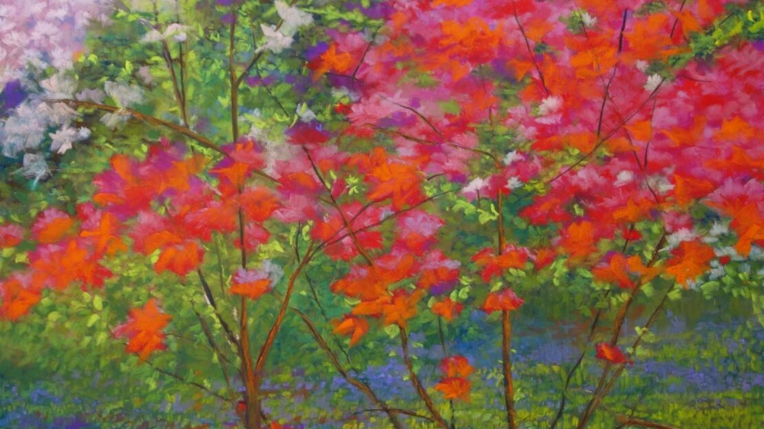 Azalea Time by Nick Serratore