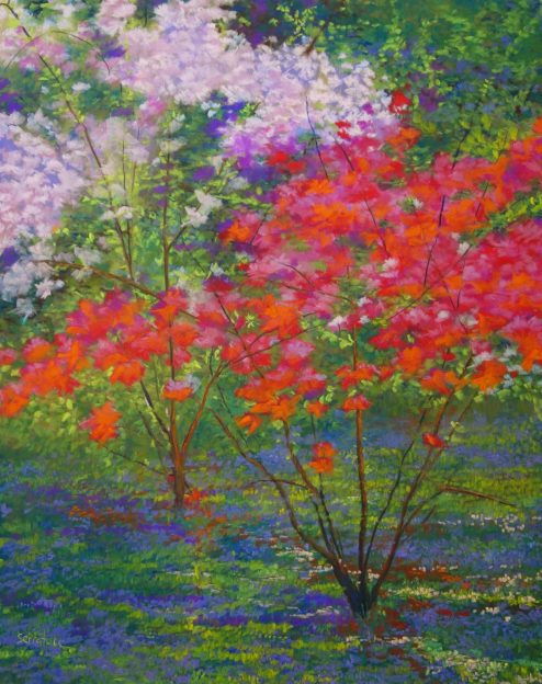 Azalea Time by Nick Serratore