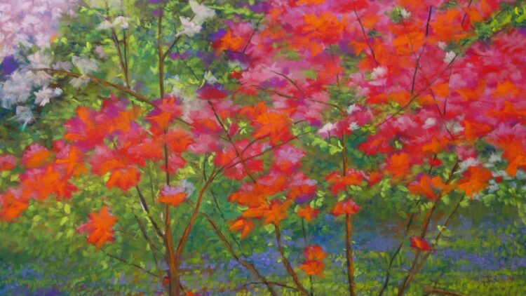Azalea Time by Nick Serratore