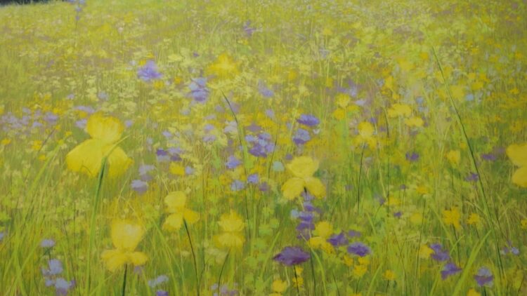 Summer's Glory by Nick Serratore