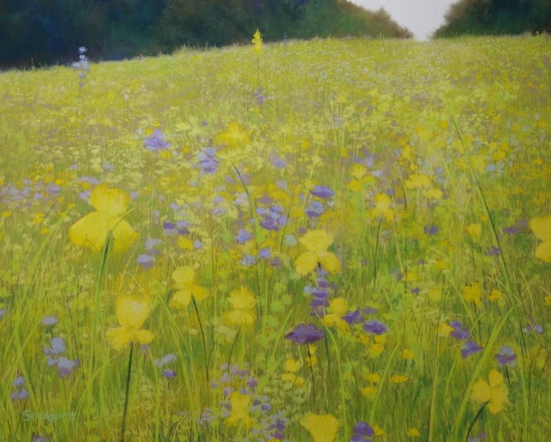 Summer's Glory by Nick Serratore